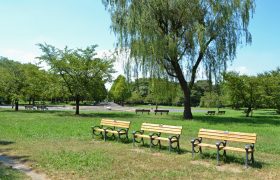 防災公園はどこにある？実際に存在する防災公園を紹介します