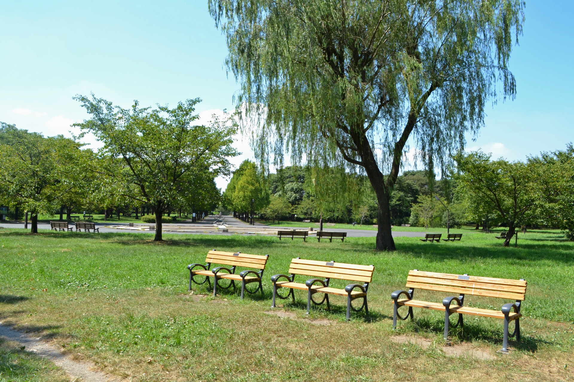 防災公園はどこにある？実際に存在する防災公園を紹介します